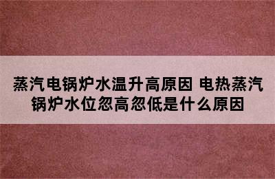 蒸汽电锅炉水温升高原因 电热蒸汽锅炉水位忽高忽低是什么原因